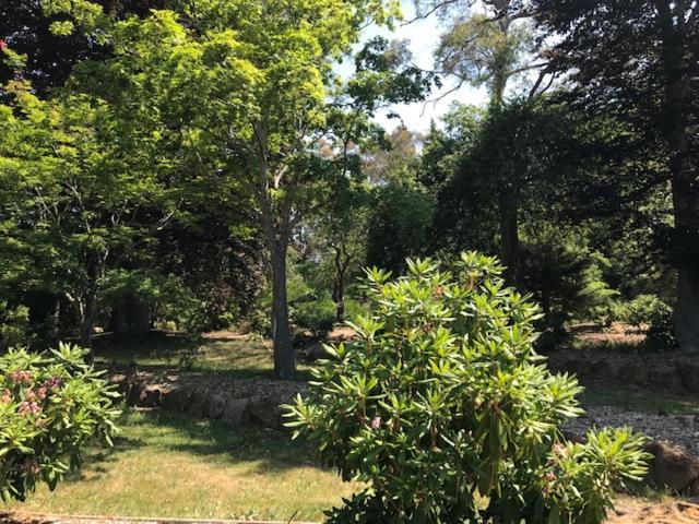 新娘瀑布小屋度假屋 卢拉 外观 照片